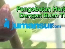 Pengobatan Dalam Al-Qur’an Dan As-Sunnah Dengan Herbal Buah Tin