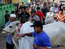 Peluang Bisnis dari Perayaan Idul Adha yang Menguntungkan